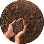 Soils and Sediment