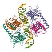 Protein Characterisation