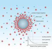 Zeta Potential