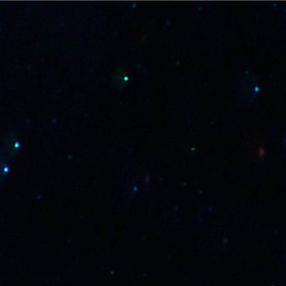 Size Distribution and Concentration of Exosomes