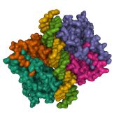 Protein Aggregates