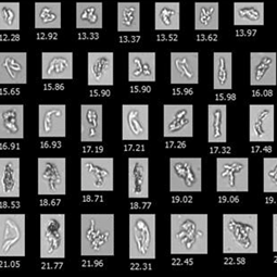 Comparing FlowCam Results with Light Obscuration