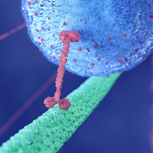 Extracellular Vesicles and Exosomes nCS2 Arc Spectradyne