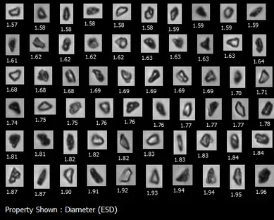 Analysis results from the FlowCam 8000 FIM analyser