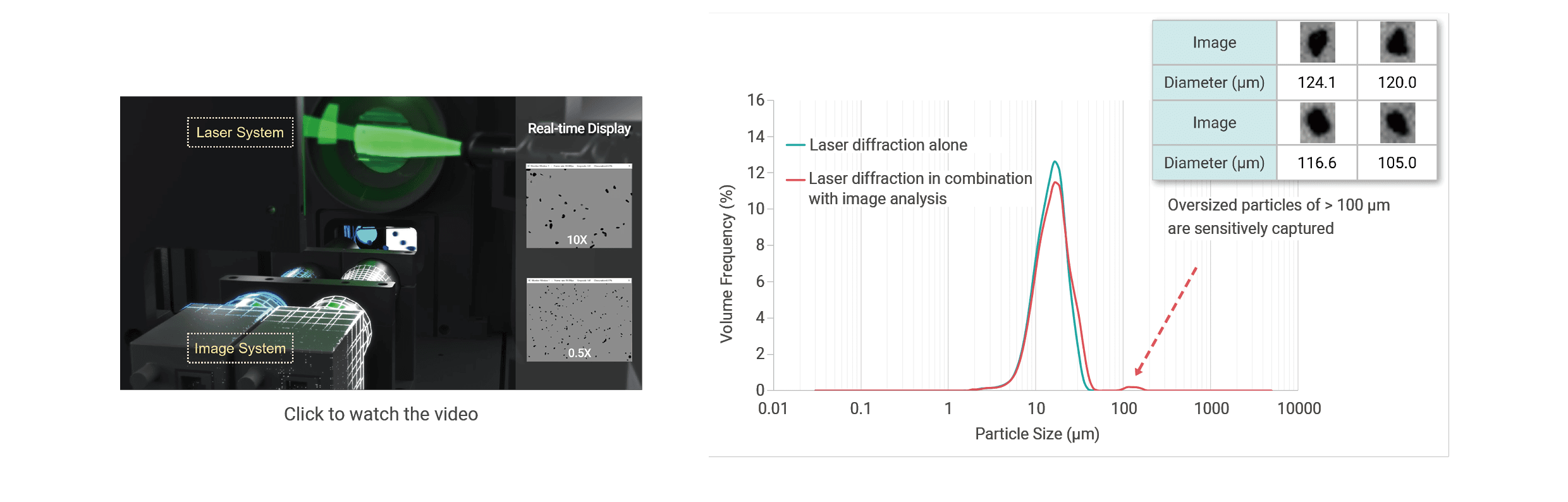 BioLector Microbioreactor