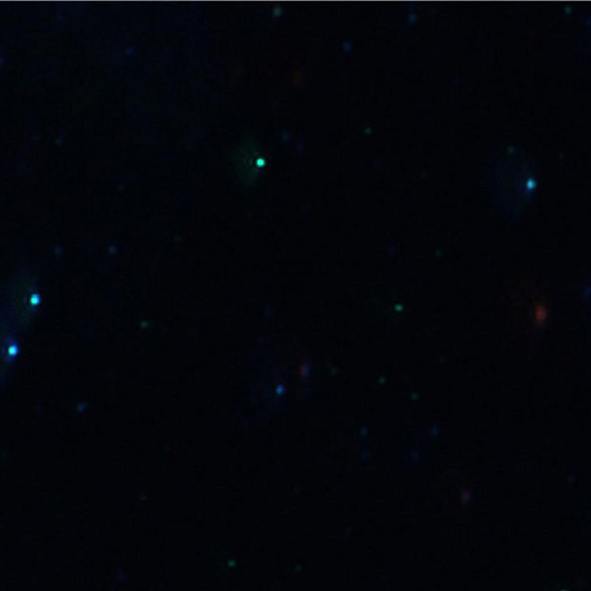 Size Distribution and Concentration of Exosomes